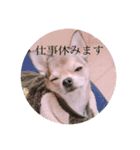 ソイクル 2弾（個別スタンプ：14）