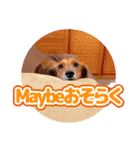 みどりのなかまたち（個別スタンプ：20）