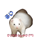 るい君withしの、しんば、ひめ（個別スタンプ：3）
