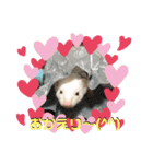 るい君withしの、しんば、ひめ（個別スタンプ：6）