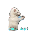 るい君withしの、しんば、ひめ（個別スタンプ：7）