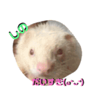 るい君withしの、しんば、ひめ（個別スタンプ：15）
