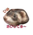 るい君withしの、しんば、ひめ（個別スタンプ：16）