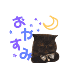 にゃんずのきもち（個別スタンプ：2）