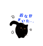 にゃんずのきもち（個別スタンプ：9）