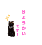 にゃんずのきもち（個別スタンプ：14）