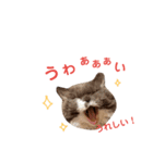 にゃんずのきもち（個別スタンプ：21）
