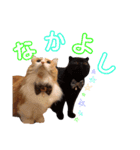 にゃんずのきもち（個別スタンプ：40）