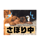 ピノの日常ほのぼのスタンプ（個別スタンプ：9）