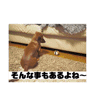 ピノの日常ほのぼのスタンプ（個別スタンプ：15）