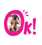 ピノの日常ほのぼのスタンプ（個別スタンプ：18）