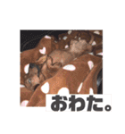 ピノの日常ほのぼのスタンプ（個別スタンプ：22）