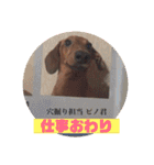 ピノの日常ほのぼのスタンプ（個別スタンプ：28）