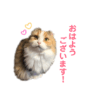 そらここスタンプ（個別スタンプ：6）