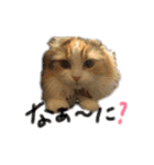 そらここスタンプ（個別スタンプ：9）