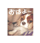 むーと優しい仲間達（個別スタンプ：1）