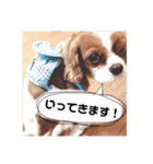 むーと優しい仲間達（個別スタンプ：2）