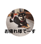 むーと優しい仲間達（個別スタンプ：9）