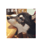 むーと優しい仲間達（個別スタンプ：13）