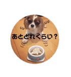 むーと優しい仲間達（個別スタンプ：14）