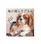 むーと優しい仲間達（個別スタンプ：18）