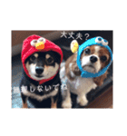 むーと優しい仲間達（個別スタンプ：23）