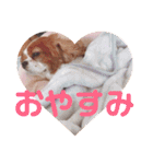 むーと優しい仲間達（個別スタンプ：24）