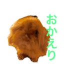 毎日ぷう子（個別スタンプ：7）