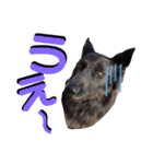 ブルーベイ ユミル① wolfdog（個別スタンプ：2）