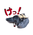ブルーベイ ユミル① wolfdog（個別スタンプ：4）