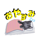 ブルーベイ ユミル① wolfdog（個別スタンプ：12）