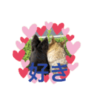 JCW狼犬ブーリ ① Wolfdog（個別スタンプ：5）