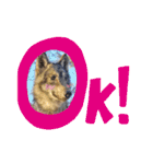 JCW狼犬ブーリ ① Wolfdog（個別スタンプ：8）