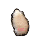 パフこぴー♬（個別スタンプ：4）