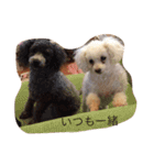 パフこぴー♬（個別スタンプ：10）