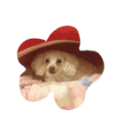 パフこぴー♬（個別スタンプ：12）