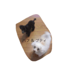 パフこぴー♬（個別スタンプ：16）