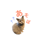 キリハクネリ（個別スタンプ：2）