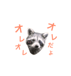 キリハクネリ（個別スタンプ：8）