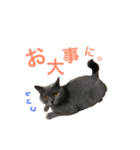 キリハクネリ（個別スタンプ：12）