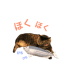 キリハクネリ（個別スタンプ：15）