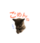 キリハクネリ（個別スタンプ：20）