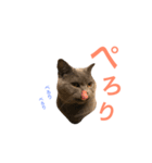 キリハクネリ（個別スタンプ：21）