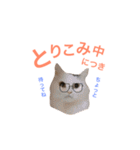 キリハクネリ（個別スタンプ：25）