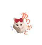 キリハクネリ（個別スタンプ：28）
