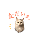 キリハクネリ（個別スタンプ：35）