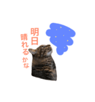 キリハクネリ（個別スタンプ：39）