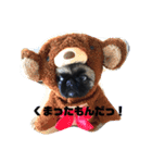 うちのマルちゃん（個別スタンプ：1）