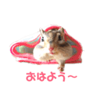 シマリス♡ビビ（個別スタンプ：2）