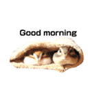 シマリス♡ビビ（個別スタンプ：4）